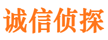 雁峰市侦探调查公司